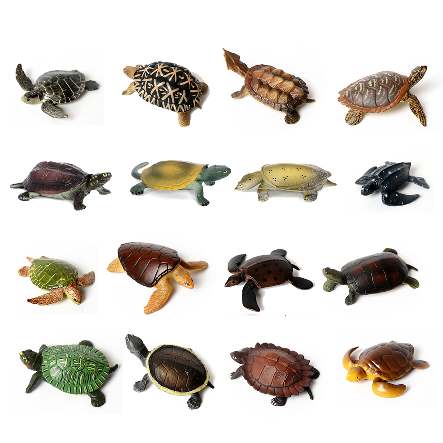 Marine Aquarium & Regional Centre - Realistische Miniaturen Meeres leben Meeres schildkröte