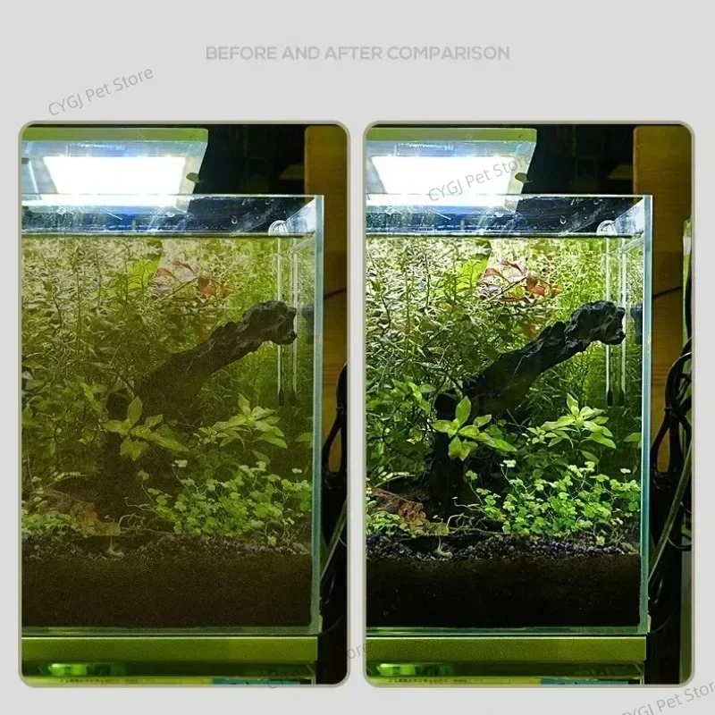 Aquarium Reinigung Werkzeug Fl – Marine Aquarium Glass Cleaner Bewertung und Preis