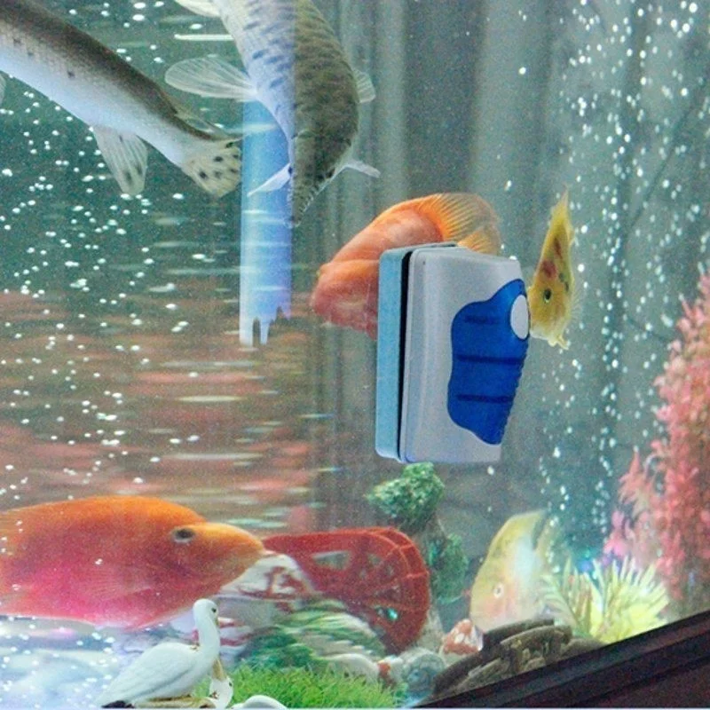 Aquarium Glas Schaber Reiniger – Marine Aquarium Glass Cleaner Bewertung und Preis