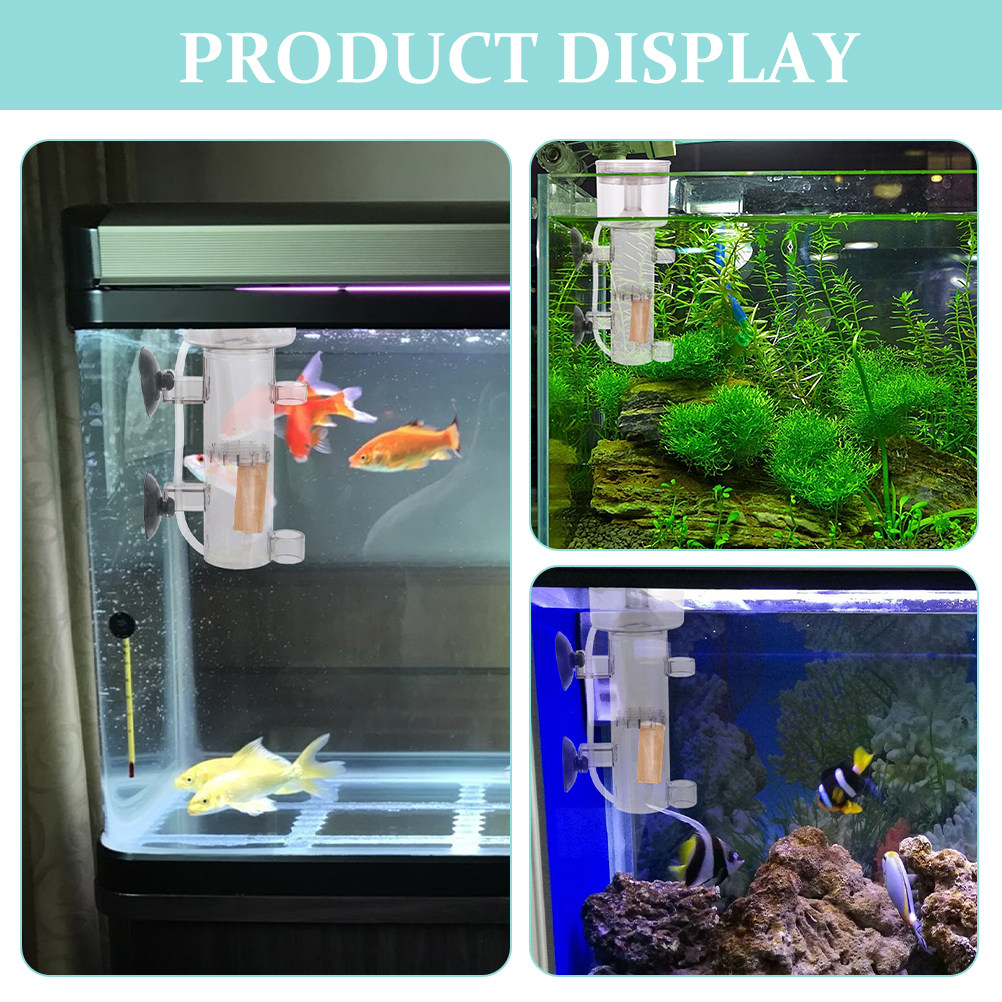 Proteinabschäumer aus Acryl fü – Marine Aquarium & Regional Centre Bewertung und Preis