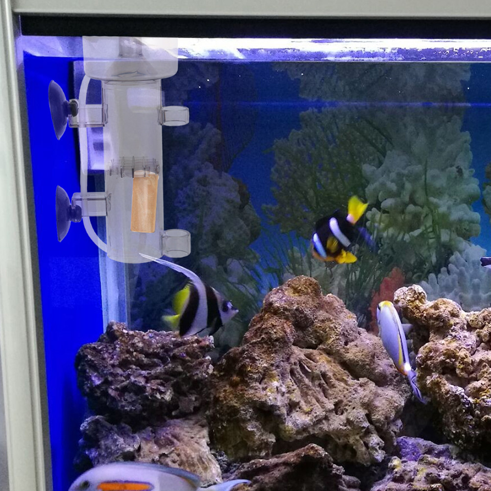 Proteinabschäumer aus Acryl fü – Marine Aquarium & Regional Centre Bewertung und Preis