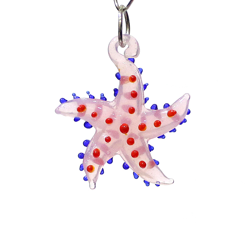 Niedliche meeres tiere Seester – Marine Aquarium & Regional Centre Bewertung und Preis