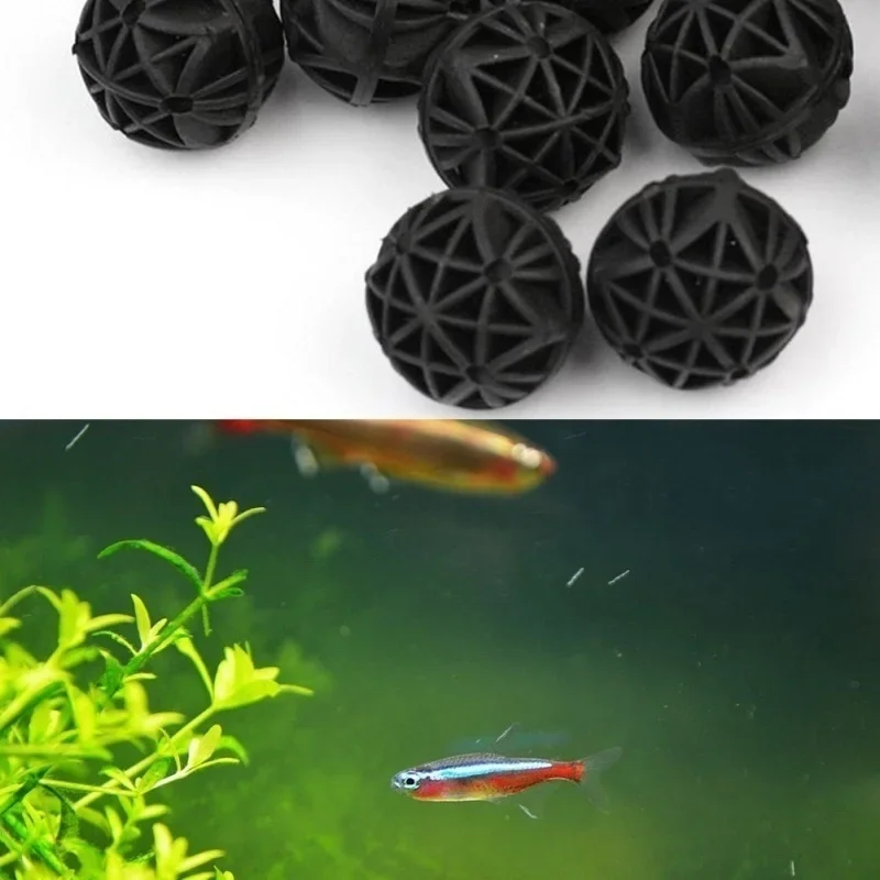 20Pcs 16mm Aquarium Filter Bio – Marine Aquarium & Regional Centre Bewertung und Preis